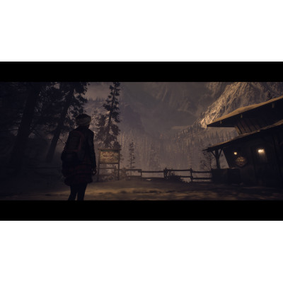 Games Software UNTIL DAWN [BD диск] (PS5)