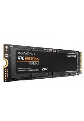 Samsung 970 EVO PLUS[MZ-V7S250BW]