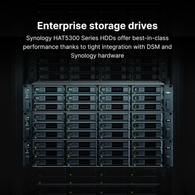 Synology Жорсткий диск 3.5" 20TБ SATA 7200