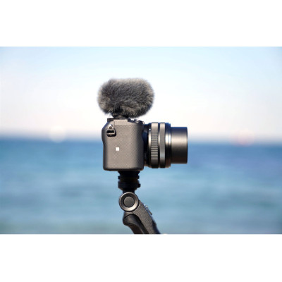 Sony Мікрофон ECM-G1Z