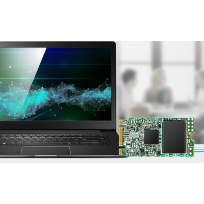 Transcend Накопичувач SSD M.2 250GB SATA 425S
