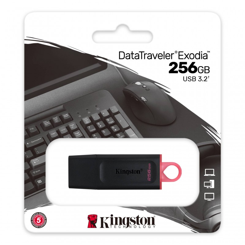 Kingston Накопичувач 256GB USB 3.2 Type-A Gen1 DT Exodia