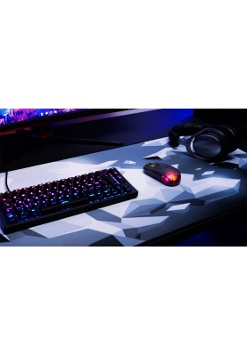 Cherry Xtrfy Миша MZ1 RGB WL, Black