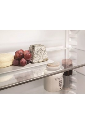 Liebherr Холодильна камера вбудована, 177x55.9х54.6, 291л, 1дв., A+, ST, диспл внутр., BioFresh, білий