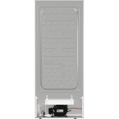 Gorenje Холодильна камера R615FEW5