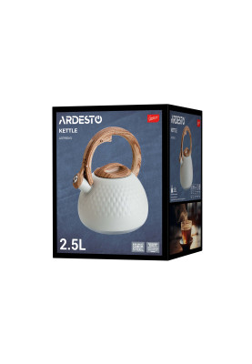 ARDESTO Чайник Gemini, 2.5 л, нержавіюча сталь