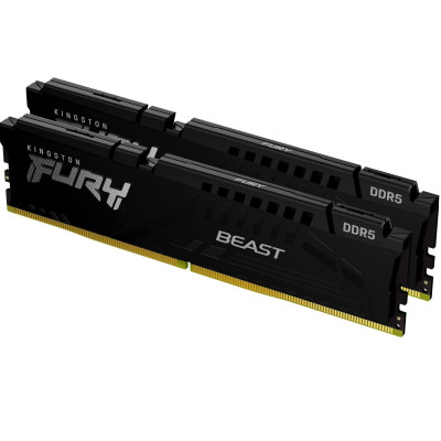Kingston Пам'ять ПК DDR5 32GB KIT (16GBx2) 5600 FURY Beast Black EXPO
