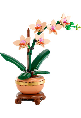 LEGO Конструктор Botanicals Міні орхідея