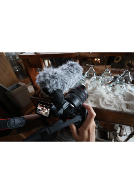 Canon Об'єктив RF 10-20mm f/4 L IS STM