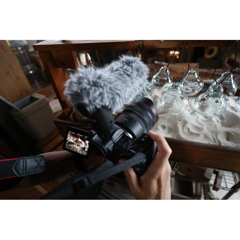 Canon Об'єктив RF 10-20mm f/4 L IS STM