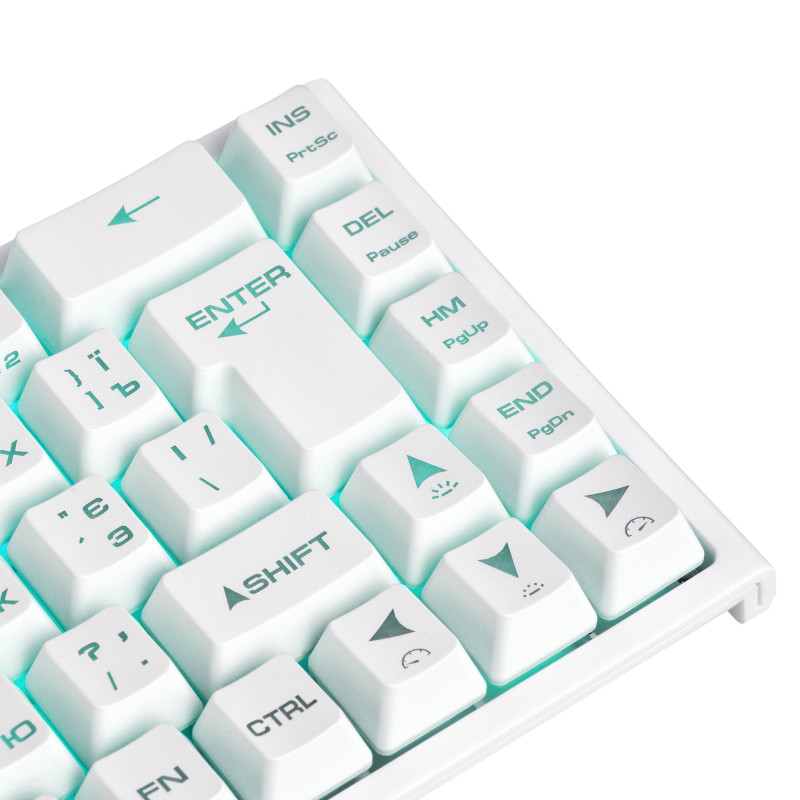 2E Gaming Клавіатура ігрова KG350 RGB 68key USB White Ukr