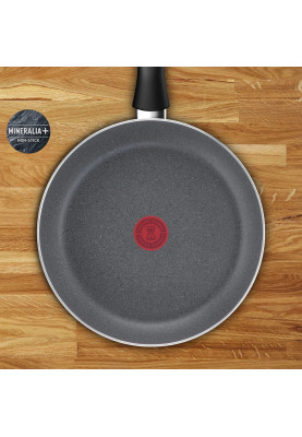 Tefal Сковорода Hard Stone, 20см, алюміній, бакеліт, сірий