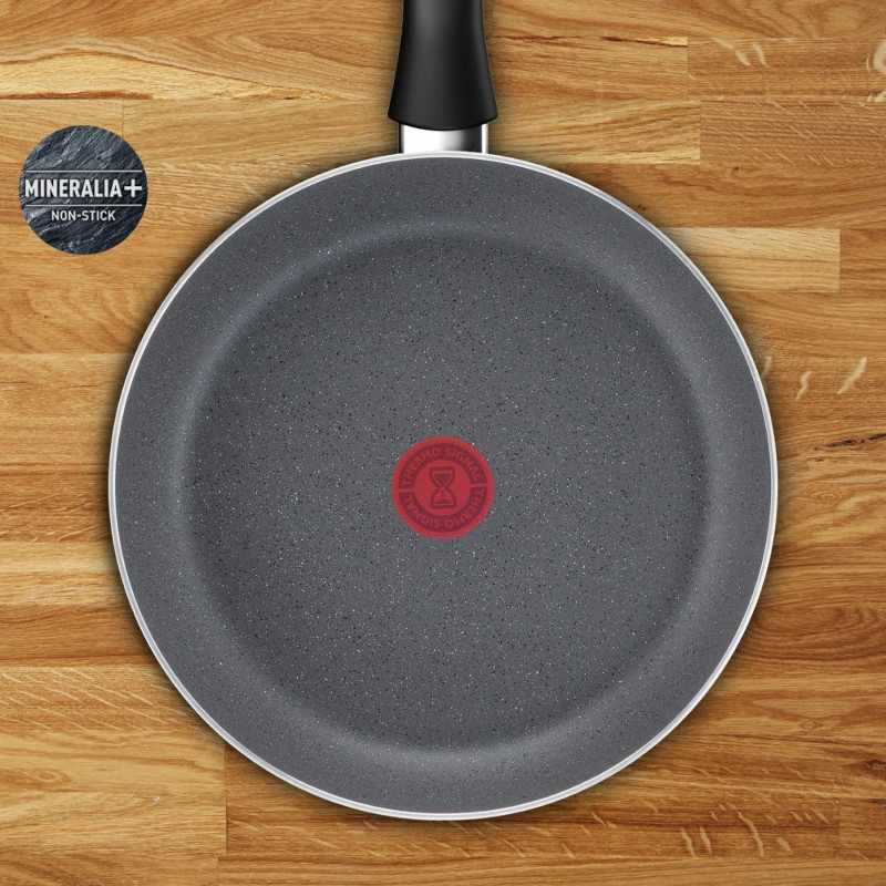 Tefal Сковорода Hard Stone, 20см, алюміній, бакеліт, сірий