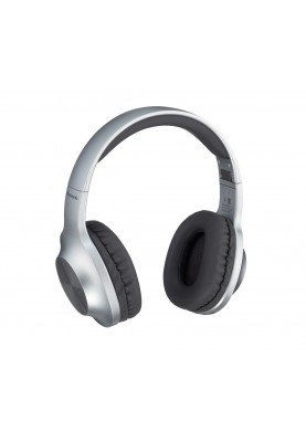 Panasonic Навушники RB-HX220BEES Over-ear Wireless Mic Сільвер