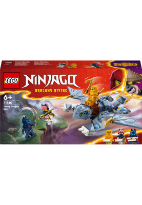 LEGO Конструктор Ninjago Молодий дракон Рію