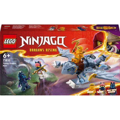 LEGO Конструктор Ninjago Молодий дракон Рію
