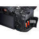 Canon EOS R6 + RF 24-105 f/4.0-7.1 IS STM