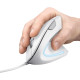 Trust Миша Verto Ergonomic, USB-A, Білий