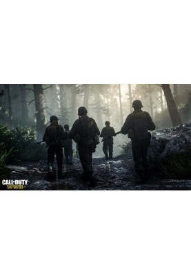 Games Software Call of Duty WWII [Blu-Ray диск] (PlayStation)