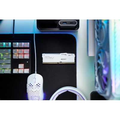 Kingston Пам'ять ПК Kingston DDR5 16GB 6000 FURY Beast EXPO Білий