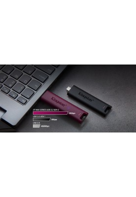 Kingston Накопичувач 256GB USB 3.2 Gen 2 DT Max Type-A