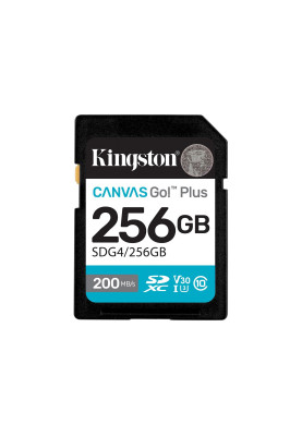 Kingston Карта пам'яті Kingston SD 256GB C10 UHS-I U3 V30 R200/W160MB/s