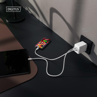 Digitus Зарядний пристрій GaN 2хUSB-C, 1хUSB-A, 100W