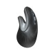Trust Миша VERRO ERGONOMIC WL