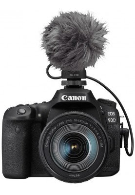 Canon DM-E100