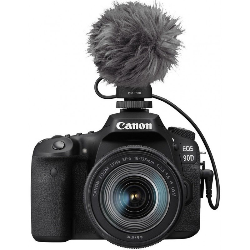 Canon DM-E100