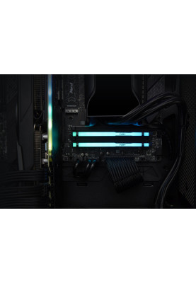 Kingston Пам'ять до ПК DDR5 5600 8GB Beast Black RGB