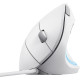 Trust Миша Verto Ergonomic, USB-A, Білий