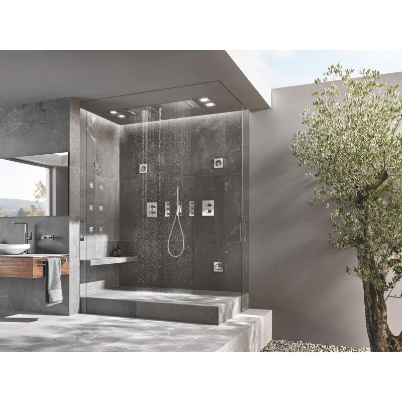 Rainshower Aqua Pure Формувач розпилення (26737000)