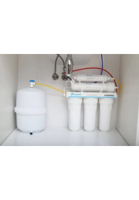 Blue Pure Minta змішувача для кухні з фільтром зворотного осмосу Ecosoft Standart (MO55030601)