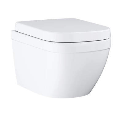 Euro Ceramic Унітаз настінного монтажу з сидінням (39554000)