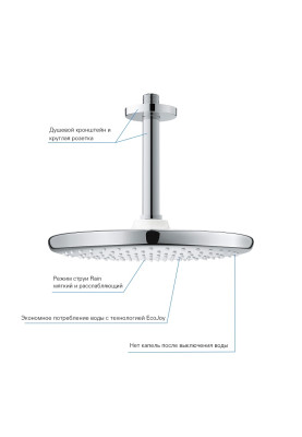 tempesta 250 верхній душ з кронштейном до стелі з WaterSaving (26669000 )