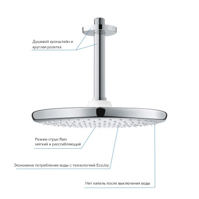 tempesta 250 верхній душ з кронштейном до стелі з WaterSaving (26669000

)