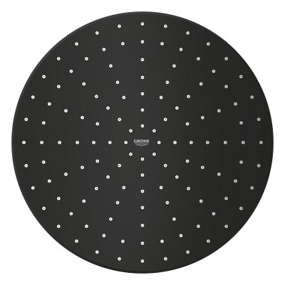 Rainshower 310 Mono Верхній душ з душовим кронштейном 422 мм, 1 режим струменя (22121KF0)
