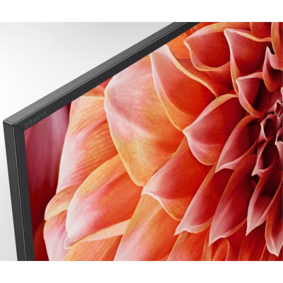 Телевізор Sony KD-65XF9005