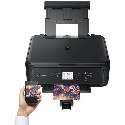 БФП Canon PIXMA TS5150 (2228C006)