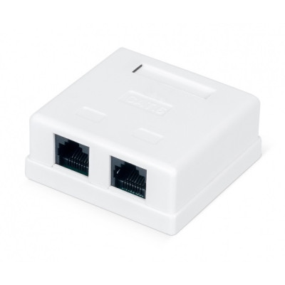 Розетка Ritar RJ45х2 (StR-8P8CRJ45/C6-2/01527)