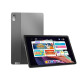 Lenovo Tab P11 2nd Gen (Lenovo Pad Plus 2023) TB350FU 6/128Gb gray Global ROM