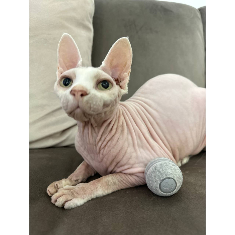 М'ячик для котів Cheerble Wickedball Mini C0419 (Сірий)