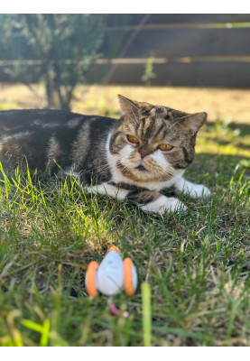 Інтерактивна іграшка для котів Cheerble Wicked Mouse C0821 (Біло-помаранчевий)