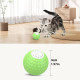 Інтерактивний м'ячик для котів PET BALL2 (Зелений)