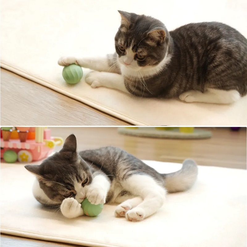 М'ячик для котів Cheerble Ice Cream Ball C0419-C (Зелений)