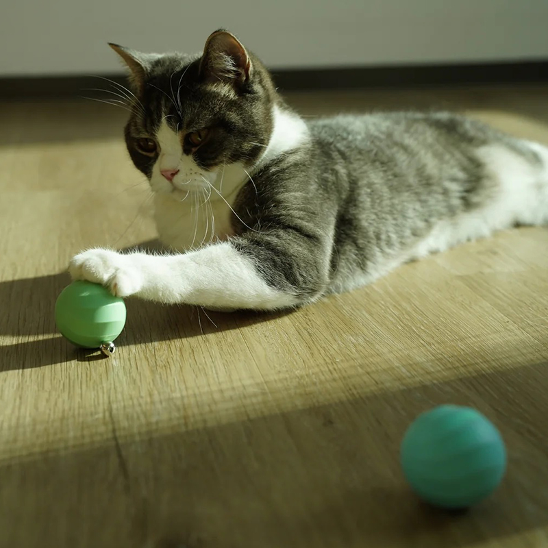 М'ячик для котів Cheerble Ice Cream Ball C0419-C (Зелений)