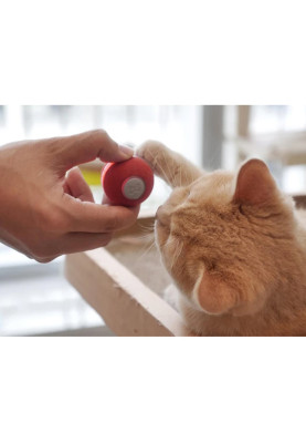 М'ячик для котів Cheerble Wickedball Mini C0419 (Червоний)