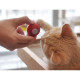 М'ячик для котів Cheerble Wickedball Mini C0419 (Червоний)