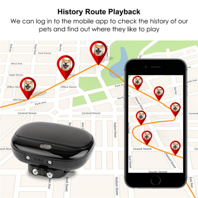 GPS трекер для собак GPS Tracker V43 з відстежуванням (Чорний)